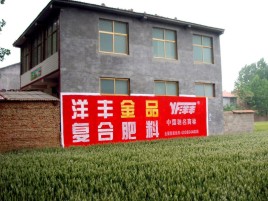 兴平如何让墙体广告展现最大化效果