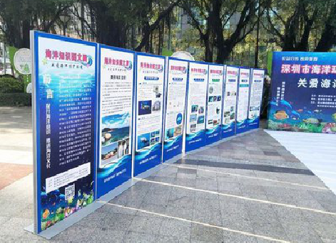 兴平KT板的种类和知识。